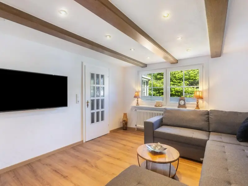 Wohnzimmer mit Fernseher und Holzbalkendecke, Ferienwohnung Bödefeld